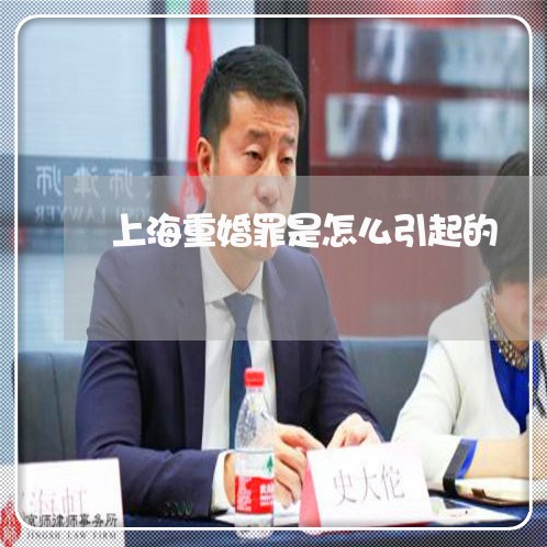 上海重婚罪是怎么引起的/2023021581481 上海重婚罪是怎么引起的/2023021581481