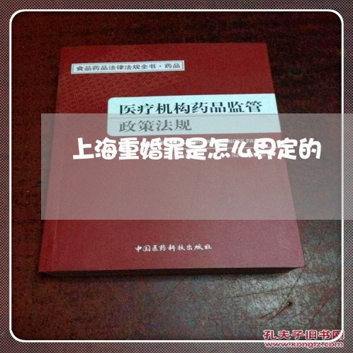 上海重婚罪是怎么界定的/2023041008282