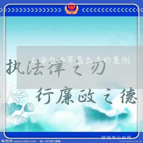 上海重婚罪最出名的案例/2023041061593