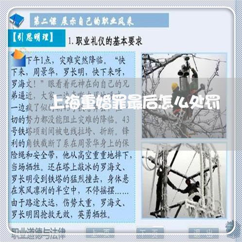 上海重婚罪最后怎么处罚/2023021569502 上海重婚罪最后怎么处罚/2023021569502
