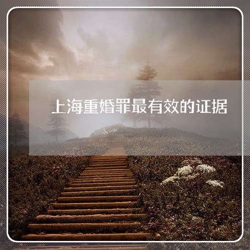 上海重婚罪最有效的证据/2023041093705