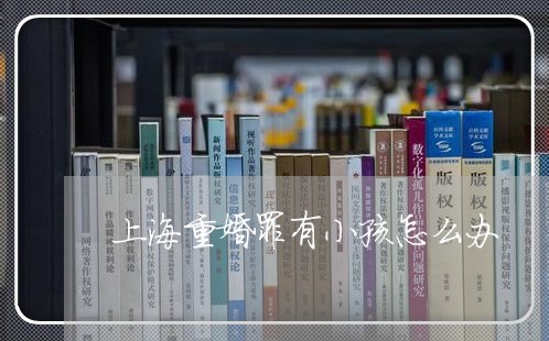 上海重婚罪有小孩怎么办/2023021540703 上海重婚罪有小孩怎么办/2023021540703