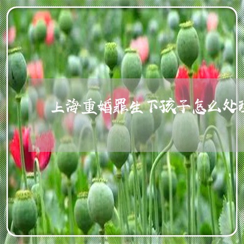 上海重婚罪生下孩子怎么处理/2023032150584 上海重婚罪生下孩子怎么处理/2023032150584
