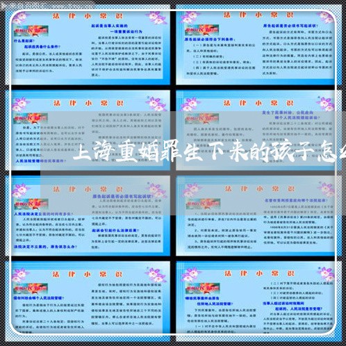 上海重婚罪生下来的孩子怎么办/2023041520473