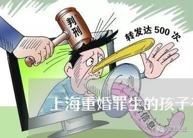 上海重婚罪生的孩子有家产分吗/2023041542615