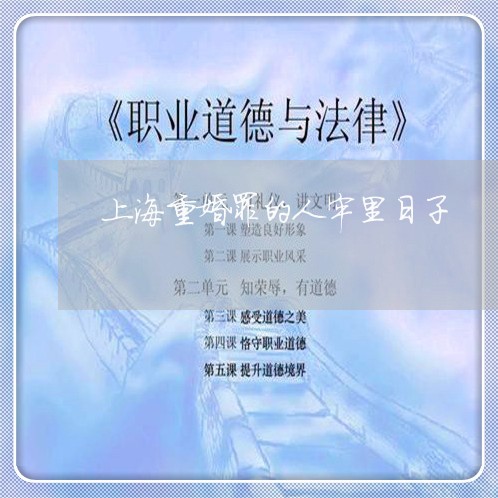 上海重婚罪的人牢里日子/2023021575060 上海重婚罪的人牢里日子/2023021575060