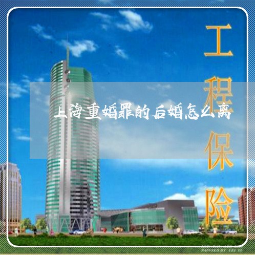 上海重婚罪的后婚怎么离/2023041087270