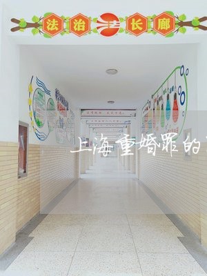 上海重婚罪的国内外研究/2023021583637 上海重婚罪的国内外研究/2023021583637