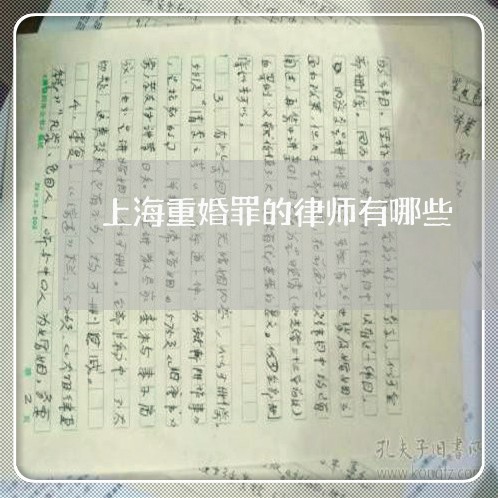 上海重婚罪的律师有哪些/2023041027159