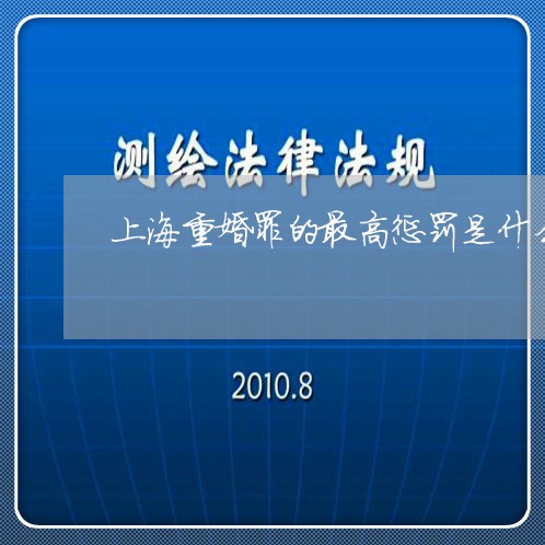 上海重婚罪的最高惩罚是什么/2023032117383