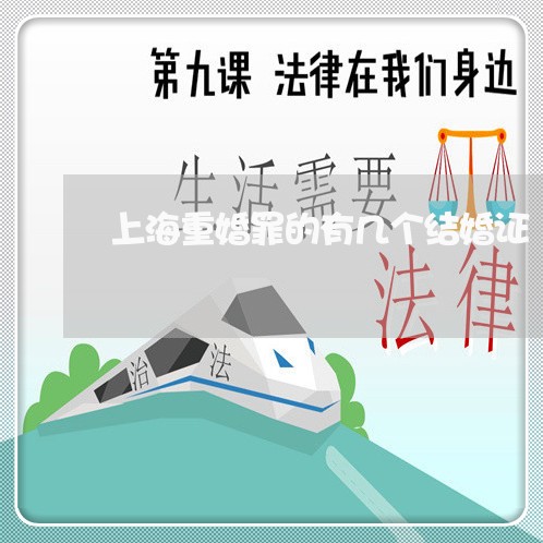 上海重婚罪的有几个结婚证/2023030248482 上海重婚罪的有几个结婚证/2023030248482
