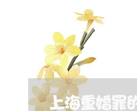 上海重婚罪的规定是什么/2023021596047 上海重婚罪的规定是什么/2023021596047