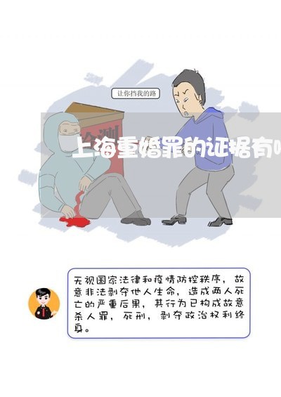 上海重婚罪的证据有哪些/2023021526025 上海重婚罪的证据有哪些/2023021526025