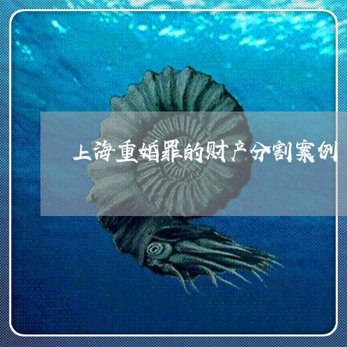 上海重婚罪的财产分割案例/2023030250371