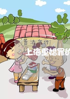 上海重婚罪的问题与建议/2023041043581