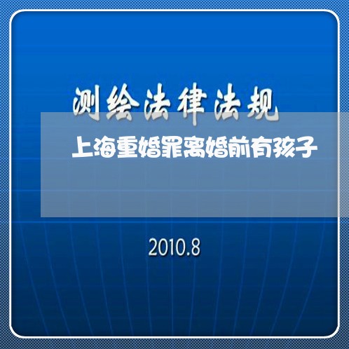 上海重婚罪离婚前有孩子/2023041017169