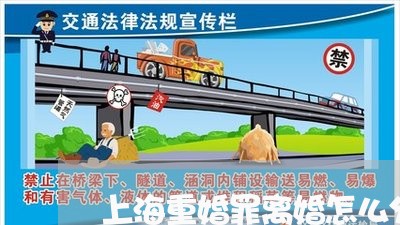 上海重婚罪离婚怎么分财产/2023030239044 上海重婚罪离婚怎么分财产/2023030239044