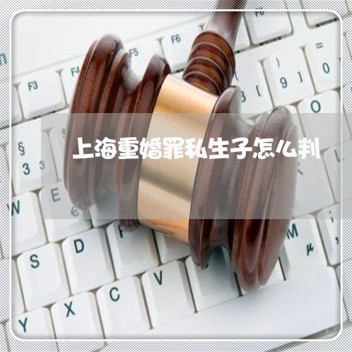 上海重婚罪私生子怎么判/2023041061791