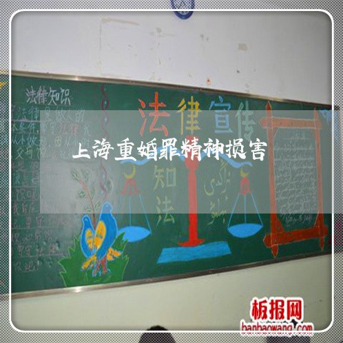 上海重婚罪精神损害/2023032418037 上海重婚罪精神损害/2023032418037