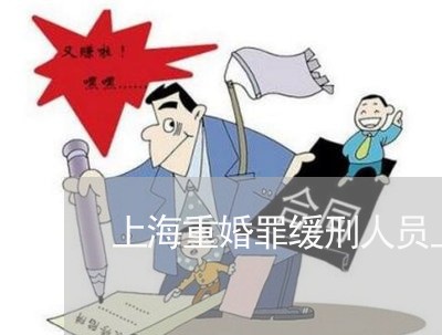 上海重婚罪缓刑人员上诉/2023021484717 上海重婚罪缓刑人员上诉/2023021484717
