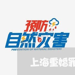 上海重婚罪缓刑后怎么办/2023041017172