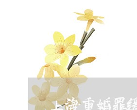 上海重婚罪缓刑怎么处理/2023021469371 上海重婚罪缓刑怎么处理/2023021469371