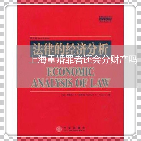 上海重婚罪者还会分财产吗/2023031863828