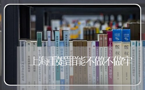 上海重婚罪能不做不做牢/2023041004826