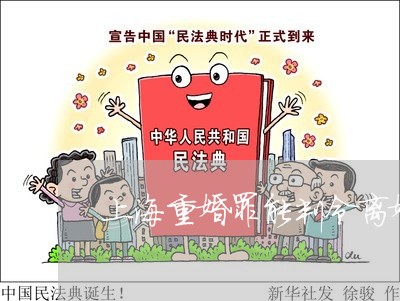 上海重婚罪能判令离婚吗/2023041093815