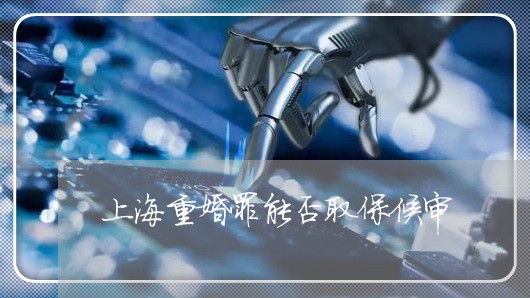 上海重婚罪能否取保候审/2023021403846 上海重婚罪能否取保候审/2023021403846