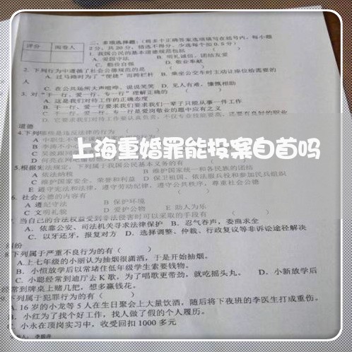 上海重婚罪能投案自首吗/2023021484894 上海重婚罪能投案自首吗/2023021484894