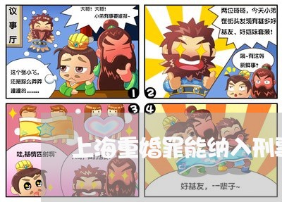 上海重婚罪能纳入刑事案件吗/2023032137241