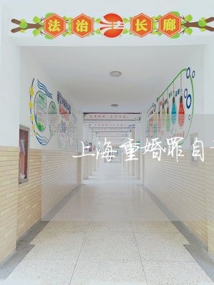 上海重婚罪自诉主体太小/2023041040582