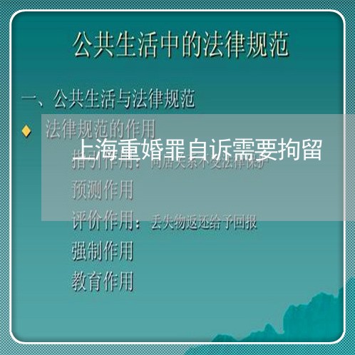 上海重婚罪自诉需要拘留/2023041062717