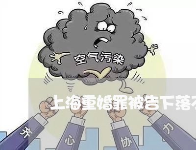 上海重婚罪被告下落不明/2023041018469