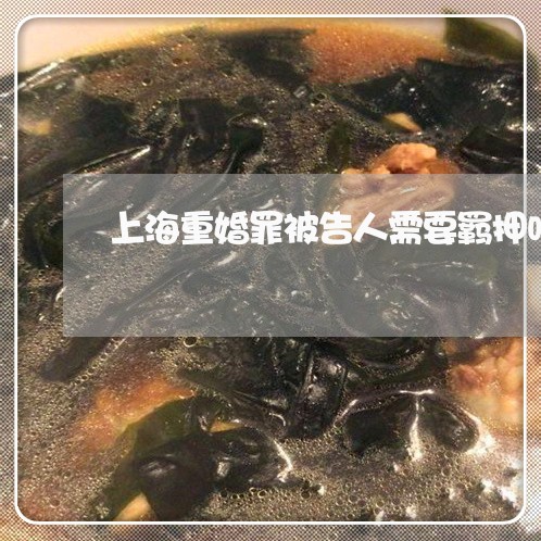 上海重婚罪被告人需要羁押吗/2023032144939 上海重婚罪被告人需要羁押吗/2023032144939