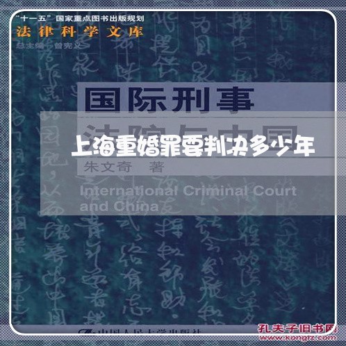 上海重婚罪要判决多少年/2023041016037