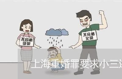 上海重婚罪要求小三还钱/2023041093916