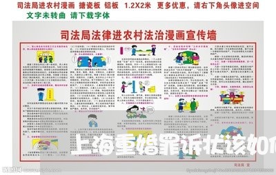 上海重婚罪诉状该如何写/2023021404027 上海重婚罪诉状该如何写/2023021404027