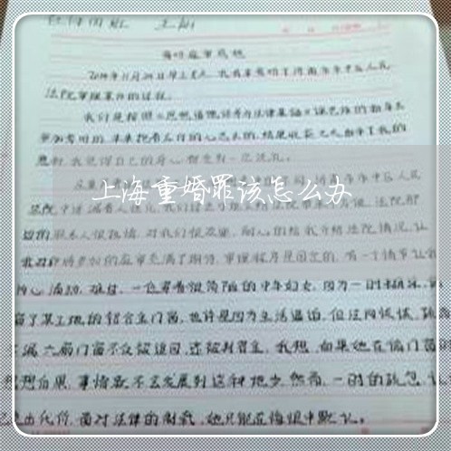 上海重婚罪该怎么办/2023032417127