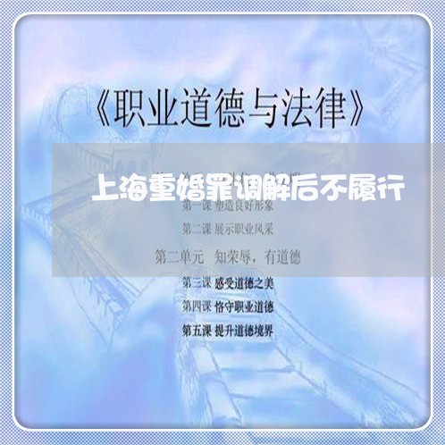 上海重婚罪调解后不履行/2023041059259