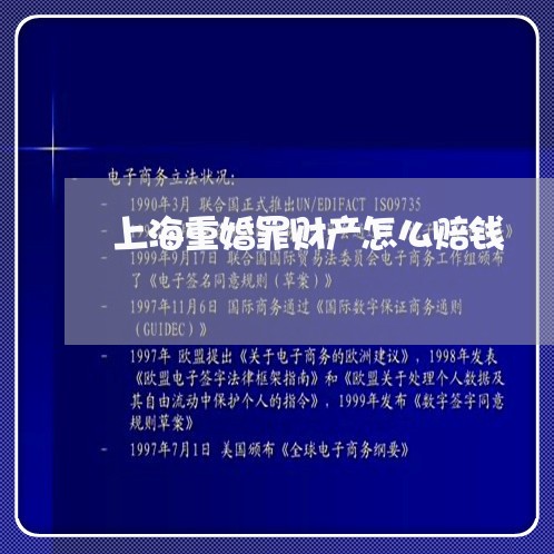 上海重婚罪财产怎么赔钱/2023021561383 上海重婚罪财产怎么赔钱/2023021561383