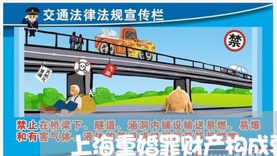 上海重婚罪财产构成要件/2023041085404