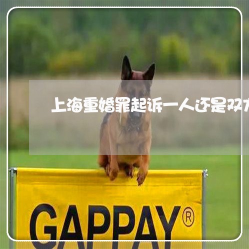 上海重婚罪起诉一人还是双方/2023032141581 上海重婚罪起诉一人还是双方/2023032141581
