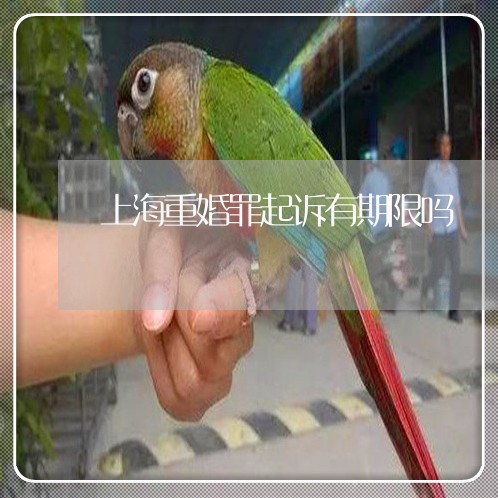 上海重婚罪起诉有期限吗/2023021551694