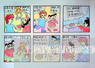 上海重婚罪起诉离婚财产分割/2023032130402 上海重婚罪起诉离婚财产分割/2023032130402