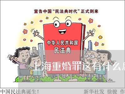 上海重婚罪这有什么后果/2023021561673 上海重婚罪这有什么后果/2023021561673