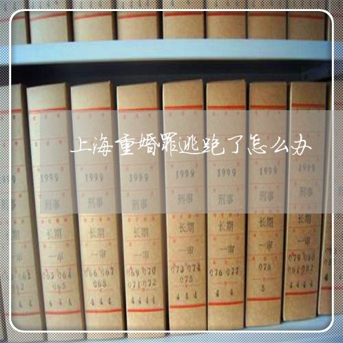 上海重婚罪逃跑了怎么办/2023041097149 上海重婚罪逃跑了怎么办/2023041097149