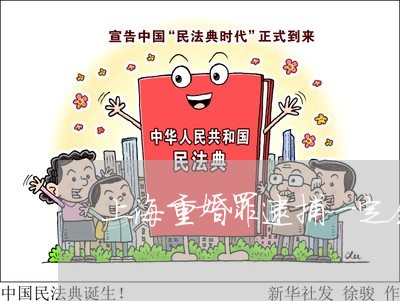 上海重婚罪逮捕一定会判刑吗/2023032137161 上海重婚罪逮捕一定会判刑吗/2023032137161