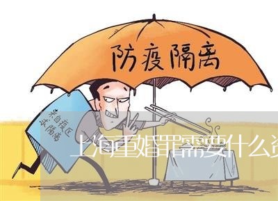 上海重婚罪需要什么资料/2023041010280